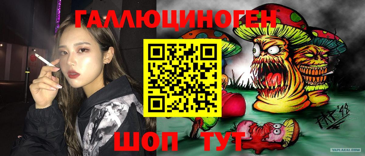 Рубцовск  Псилоцибиновые грибы мухоморы  Вход с VPN  Галлюциногенные грибы Psilocybe 